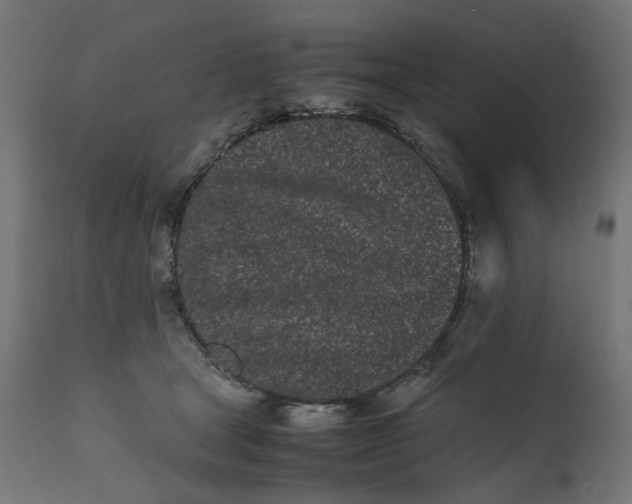 X0000111500465200907281255