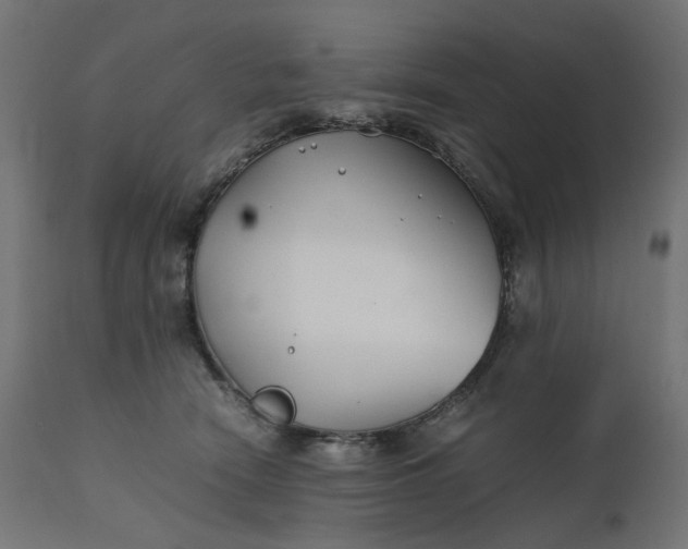 X0000111500466200907281255