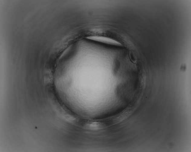 X0000111500467200907281255