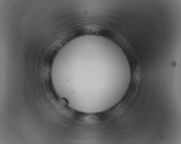 X0000111500468200907281255