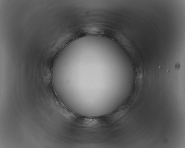 X0000111500469200907281255