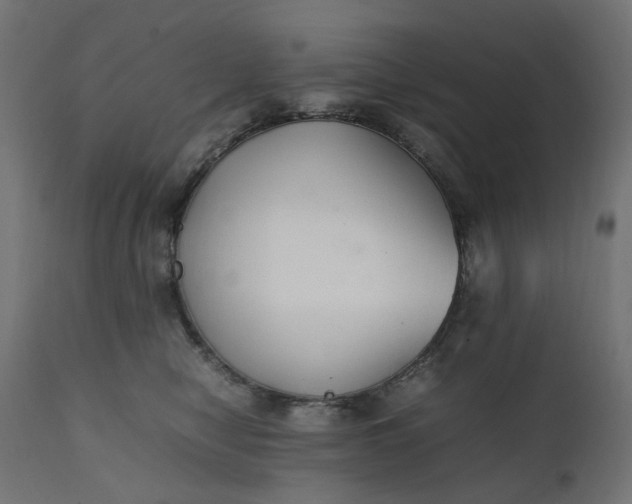 X0000111500470200907281255