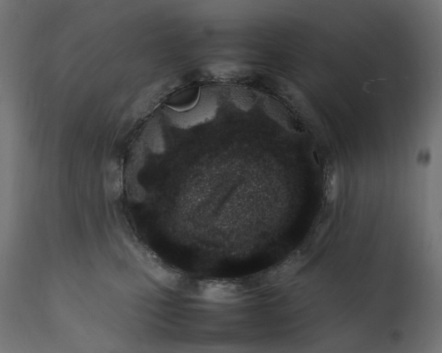 X0000111500471200907281255