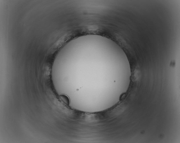 X0000111500472200907281256