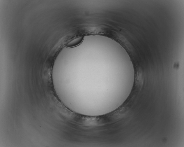 X0000111500473200907281256