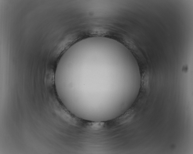 X0000111500474200907281256