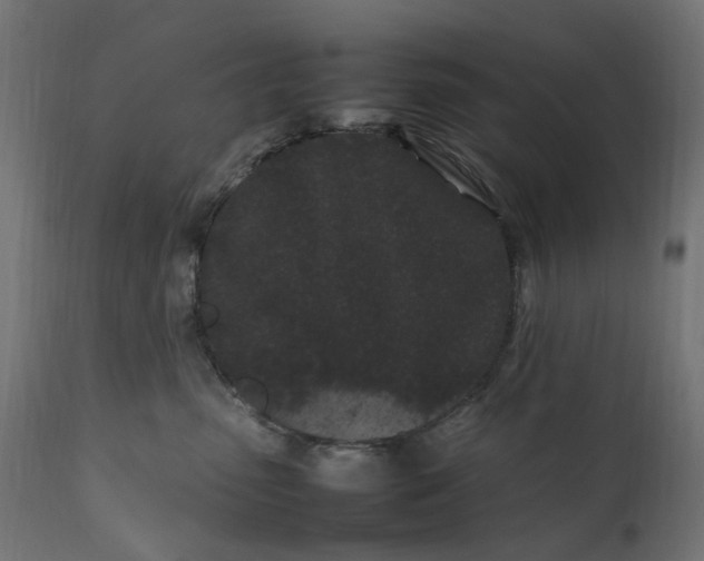 X0000111500475200907281256