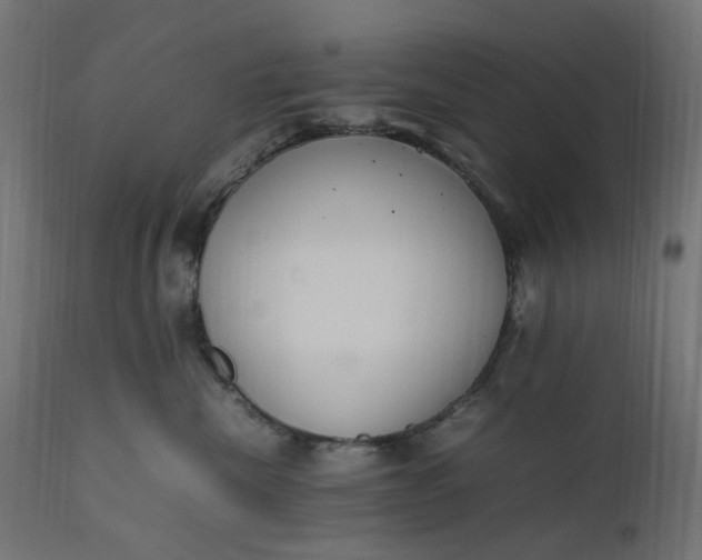 X0000111500476200907281256