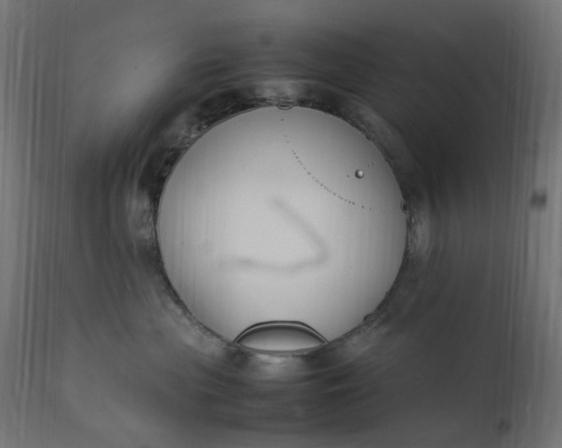 X0000111500477200907281256