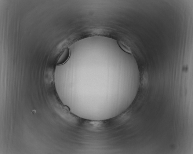 X0000111500478200907281256