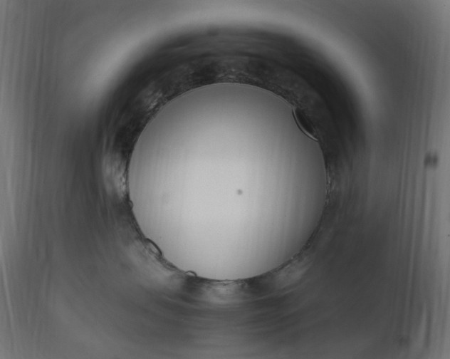 X0000111500479200907281256