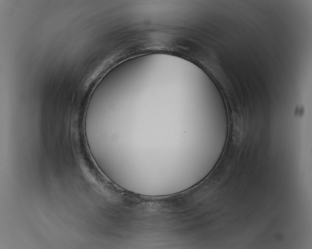 X0000111500482200907281255