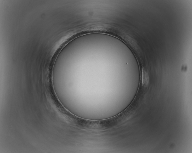 X0000111500483200907281255