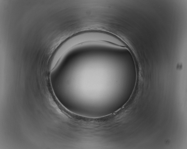 X0000111500485200907281255