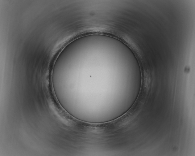 X0000111500486200907281255