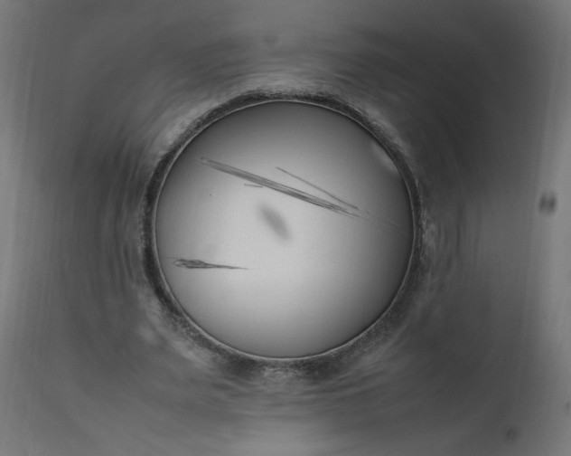 X0000111500487200907281255