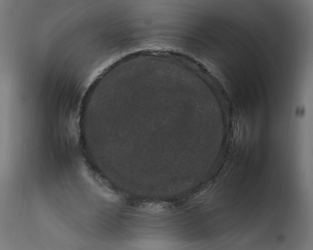 X0000111500488200907281255