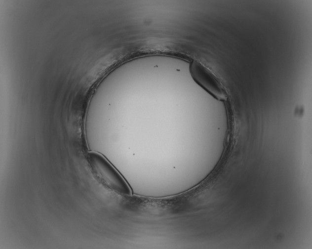 X0000111500489200907281255