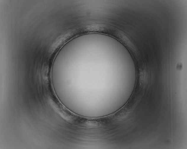 X0000111500490200907281255