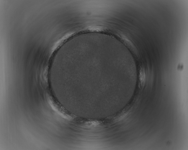 X0000111500492200907281255