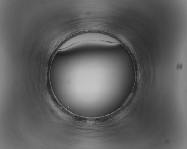 X0000111500493200907281255