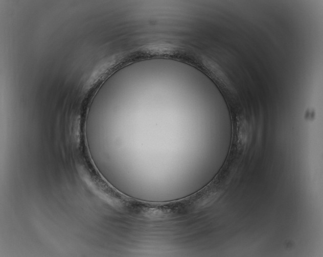 X0000111500494200907281255