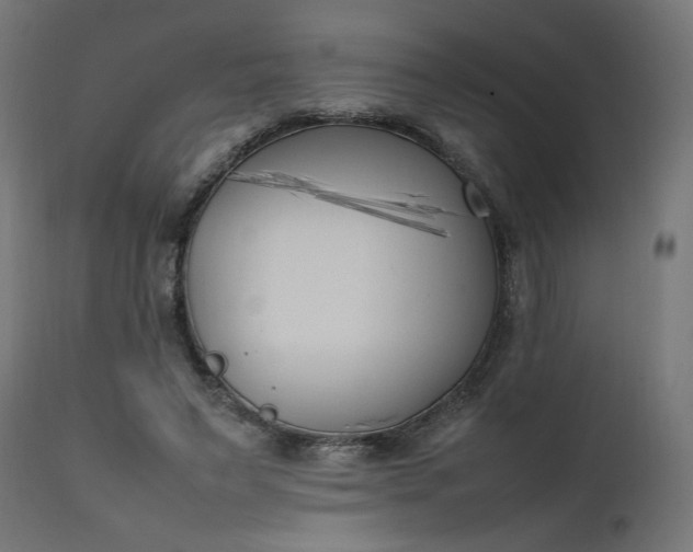 X0000111500495200907281255