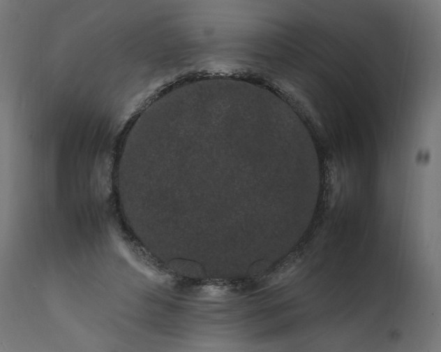 X0000111500496200907281255