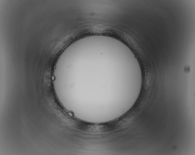 X0000111500497200907281255