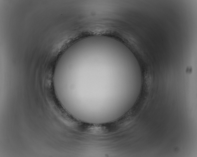 X0000111500499200907281255