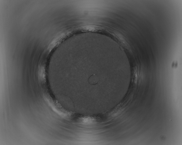 X0000111500500200907281255