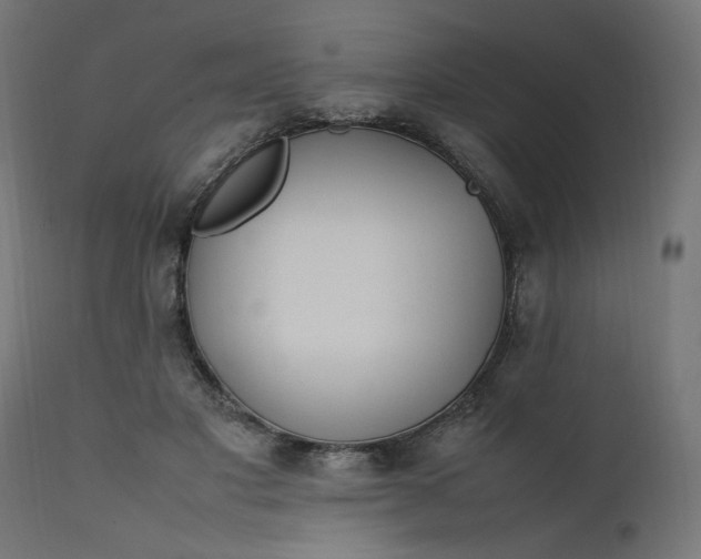 X0000111500501200907281255