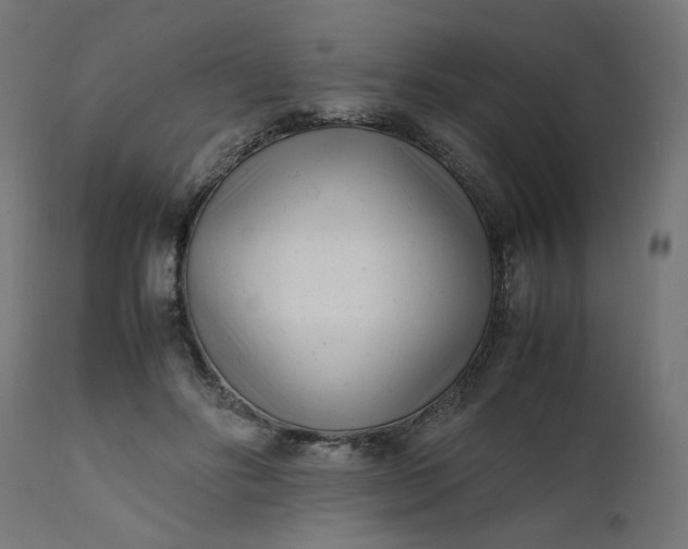 X0000111500502200907281255