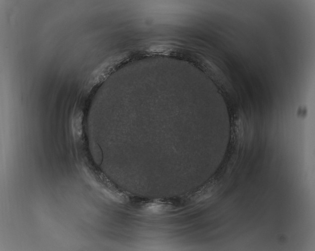 X0000111500504200907281255