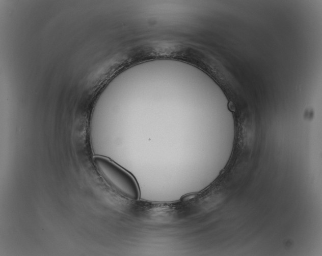 X0000111500505200907281255