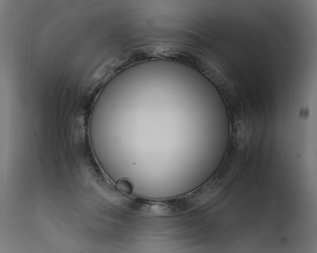 X0000111500506200907281255