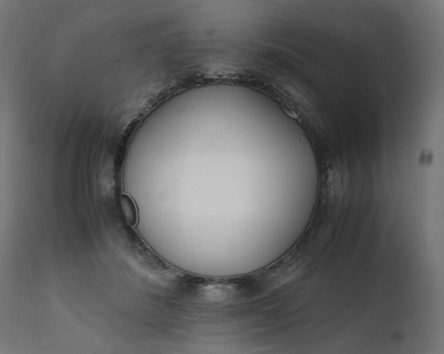 X0000111500508200907281255