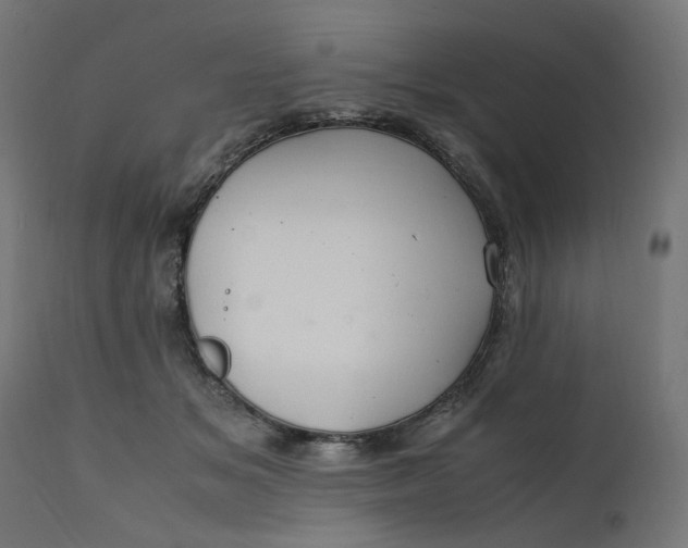 X0000111500509200907281255