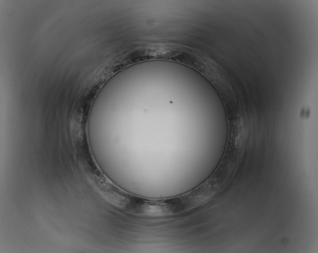 X0000111500510200907281255