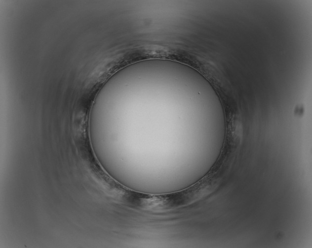 X0000111500511200907281255