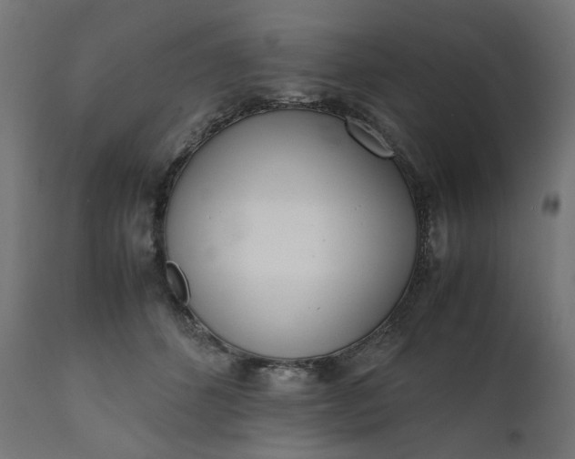 X0000111500512200907281255