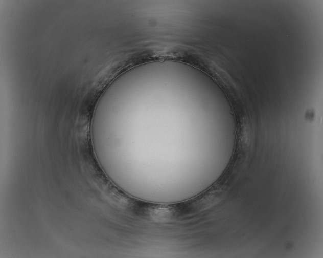 X0000111500513200907281255