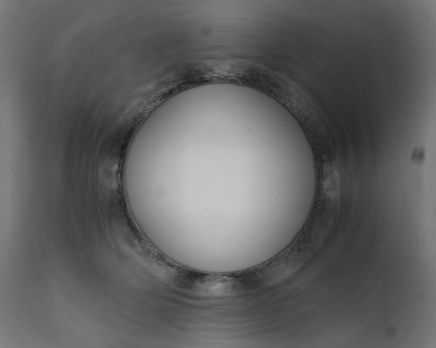 X0000111500514200907281255