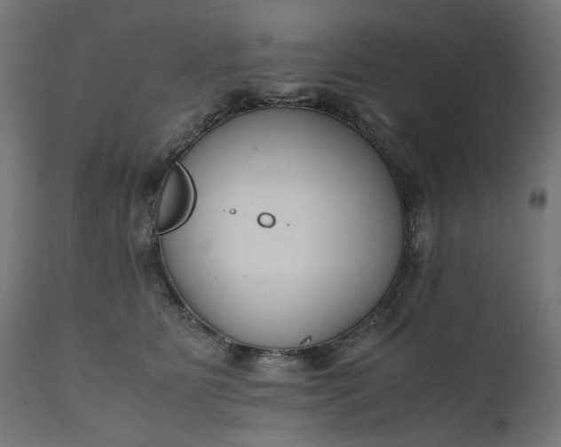 X0000111500515200907281254