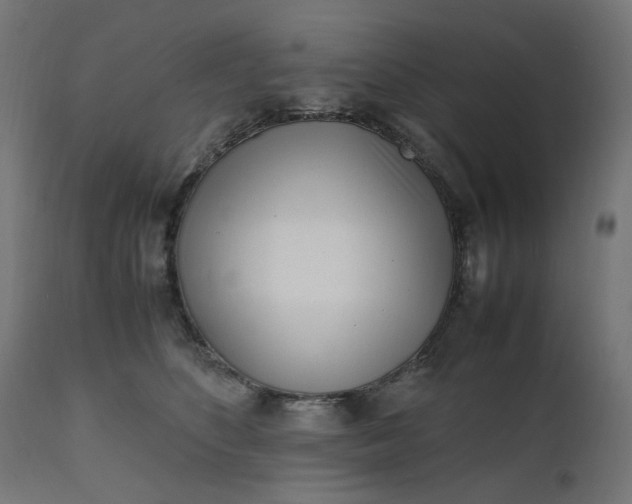 X0000111500516200907281254