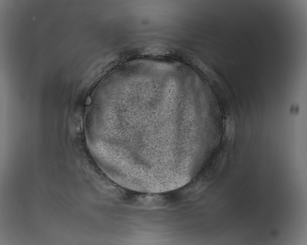 X0000111500517200907281254