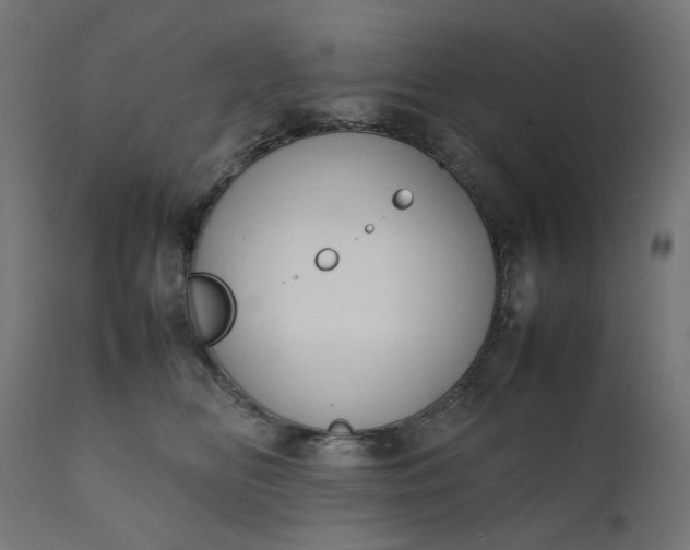 X0000111500518200907281254