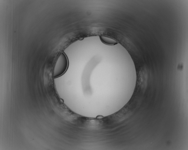 X0000111500522200907281254