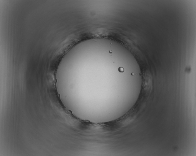 X0000111500523200907281254