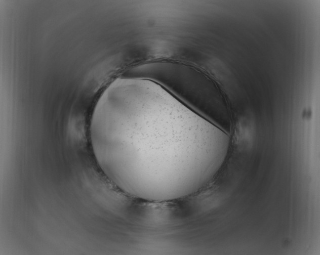 X0000111500524200907281254